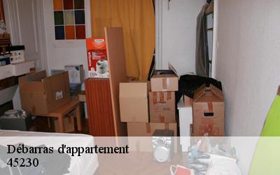 Débarras d'appartement  aillant-sur-milleron-45230 MD Débarras 45