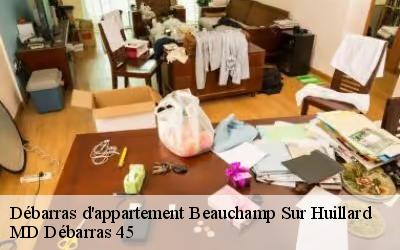 Débarras d'appartement  beauchamp-sur-huillard-45270 MD Débarras 45