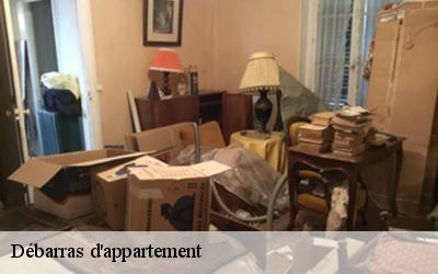 Débarras d'appartement  beaulieu-sur-loire-45630 MD Débarras 45