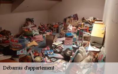 Débarras d'appartement  saint-pere-sur-loire-45600 MD Débarras 45