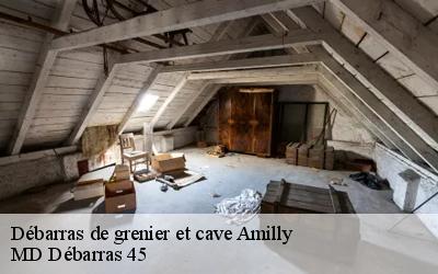 Débarras de grenier et cave  amilly-45200 MD Débarras 45