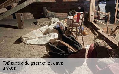Débarras de grenier et cave  aulnay-la-riviere-45390 MD Débarras 45