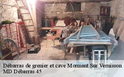 Débarras de grenier et cave  mormant-sur-vernisson-45700 MD Débarras 45