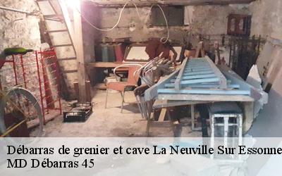 Débarras de grenier et cave  la-neuville-sur-essonne-45390 MD Débarras 45