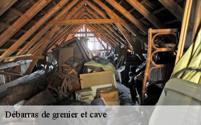 Débarras de grenier et cave  saint-martin-d-abbat-45110 MD Débarras 45