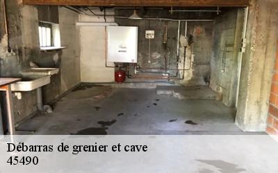 Débarras de grenier et cave  sceaux-du-gatinais-45490 MD Débarras 45