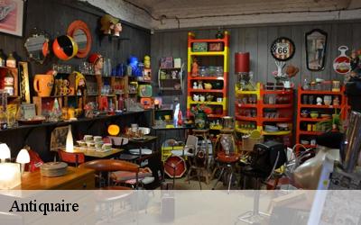 Antiquaire  aillant-sur-milleron-45230 MD Débarras 45