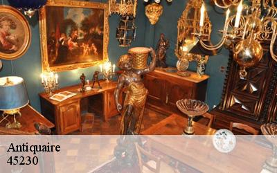 Antiquaire  aillant-sur-milleron-45230 MD Débarras 45