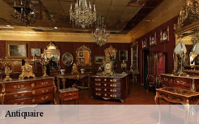 Antiquaire  aillant-sur-milleron-45230 MD Débarras 45