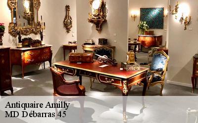 Antiquaire  amilly-45200 MD Débarras 45