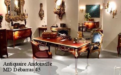 Antiquaire  andonville-45480 MD Débarras 45