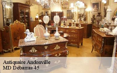 Antiquaire  andonville-45480 MD Débarras 45