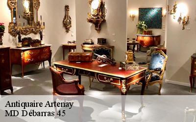 Antiquaire  artenay-45410 MD Débarras 45