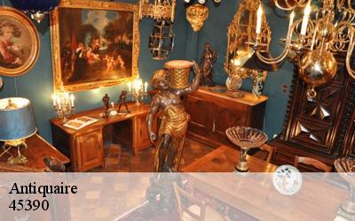 Antiquaire  aulnay-la-riviere-45390 MD Débarras 45