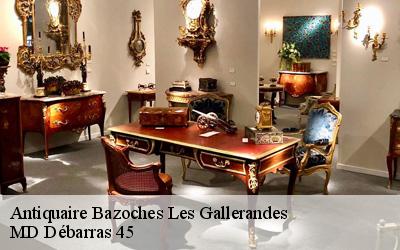 Antiquaire  bazoches-les-gallerandes-45480 MD Débarras 45