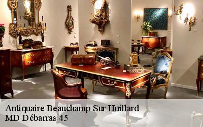 Antiquaire  beauchamp-sur-huillard-45270 MD Débarras 45