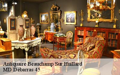 Antiquaire  beauchamp-sur-huillard-45270 MD Débarras 45