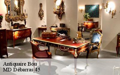 Antiquaire  bou-45430 MD Débarras 45