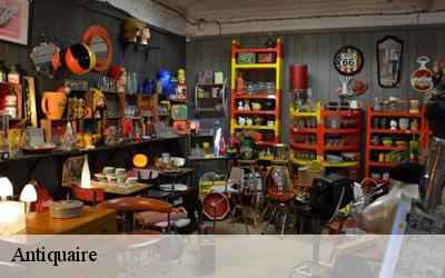 Antiquaire  briare-45250 MELAL Mehdi Débarras 45
