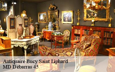 Antiquaire  bucy-saint-liphard-45140 MD Débarras 45