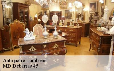 Antiquaire  lombreuil-45700 MD Débarras 45