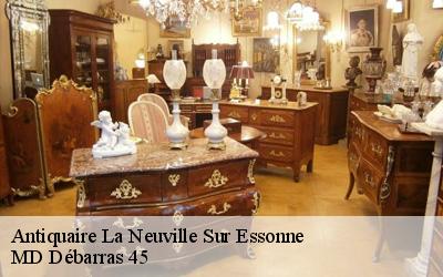 Antiquaire  la-neuville-sur-essonne-45390 MD Débarras 45