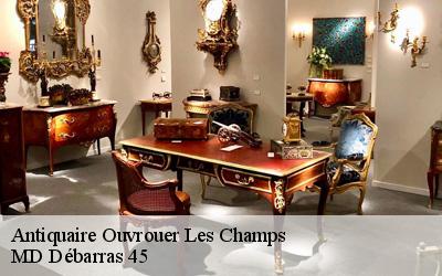 Antiquaire  ouvrouer-les-champs-45150 MD Débarras 45