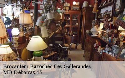 Brocanteur  bazoches-les-gallerandes-45480 MD Débarras 45
