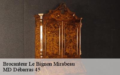 Brocanteur  le-bignon-mirabeau-45210 MD Débarras 45