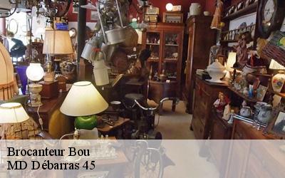 Brocanteur  bou-45430 MD Débarras 45