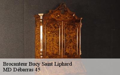 Brocanteur  bucy-saint-liphard-45140 MD Débarras 45