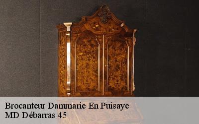 Brocanteur  dammarie-en-puisaye-45420 MD Débarras 45