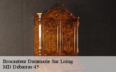 Brocanteur  dammarie-sur-loing-45230 MD Débarras 45