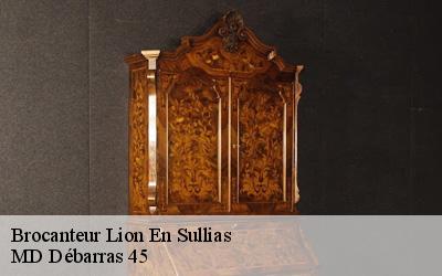 Brocanteur  lion-en-sullias-45600 MD Débarras 45