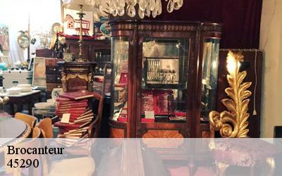 Brocanteur  nogent-sur-vernisson-45290 MELAL Mehdi Débarras 45