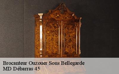 Brocanteur  ouzouer-sous-bellegarde-45270 MD Débarras 45