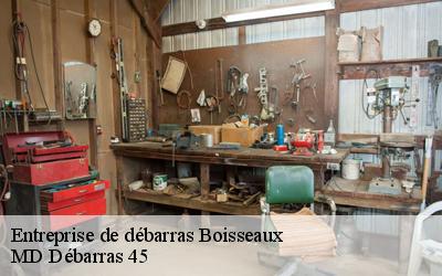 Entreprise de débarras  boisseaux-45480 MD Débarras 45