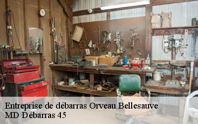 Entreprise de débarras  orveau-bellesauve-45330 MELAL Mehdi Débarras 45