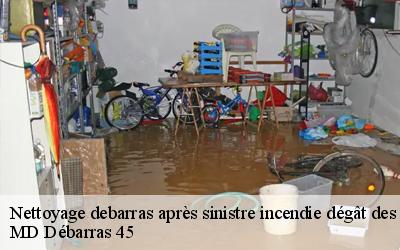 Nettoyage debarras après sinistre incendie dégât des eaux   champoulet-45420 MD Débarras 45