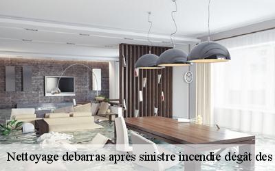 Nettoyage debarras après sinistre incendie dégât des eaux   cravant-45190 MD Débarras 45