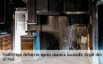Nettoyage debarras après sinistre incendie dégât des eaux   saint-gondon-45500 MD Débarras 45
