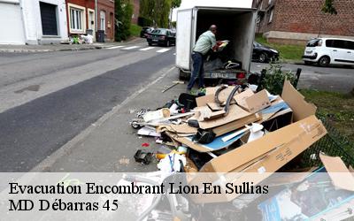 Evacuation Encombrant  lion-en-sullias-45600 MD Débarras 45